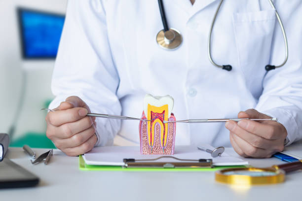 Best Emergency Dentist for Lost Fillings or Crowns in Yates Center, KS